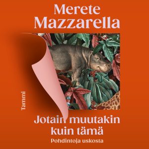 Jotain muutakin kuin tämä