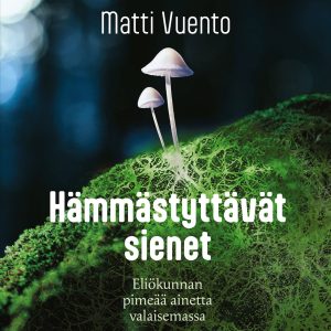 Hämmästyttävät sienet