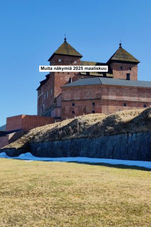 Muita näkemyksiä 2025 Maaliskuu