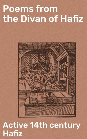 Amurinmaan retki : suomalainen kommunismin koe