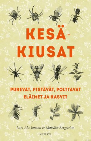 Kesäkiusat
