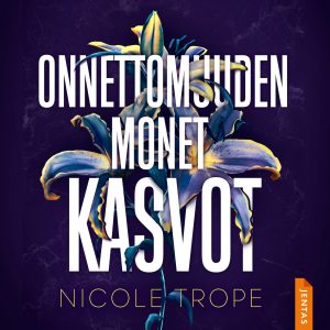 Onnettomuuden monet kasvot