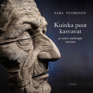 Kuinka puut kasvavat