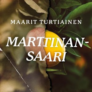 Marttinansaari