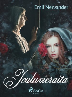 Jouluvieraita